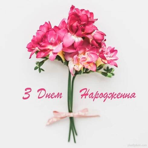 Листівка з фрезією з днем народження - без зайвиз слів | Happy birthday greetings, Birthday wishes, Happy birthday wishes cards