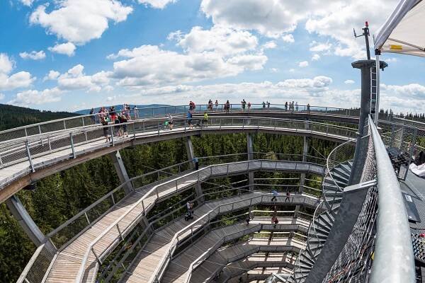 Stezka korunami stromů slavila narozeniny, loni ji navštívilo 305 tisíc lidí