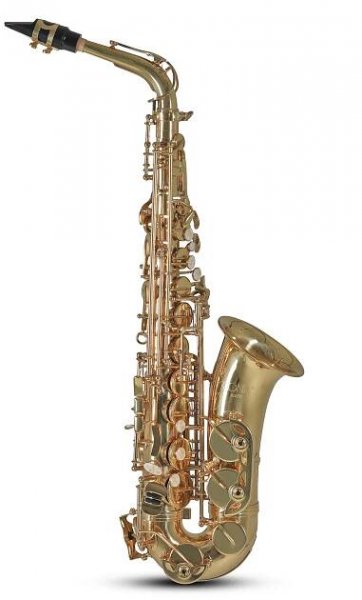 Eb-Alt Saxofon AS501 | hudebninastroje-krupka.cz