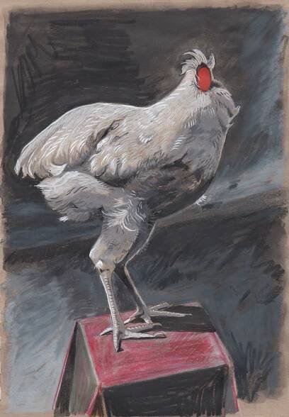 drawings — FRANCISCO MORENO TABOADA