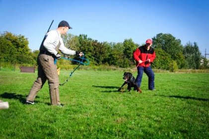 Galéria | dogtrainer - Výchova a výcvik psov