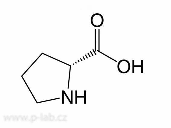 D-PROLIN | P-LAB