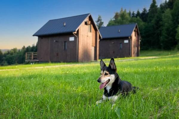 Drewniany domek całoroczny “Wicher” w górach na wynajem (Beskid Niski) – Polana Piorun