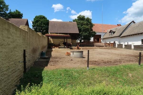 Základní škola Vranov nad Dyjí | Výlet do DinoParku Vyškov - 24. 6. 2025