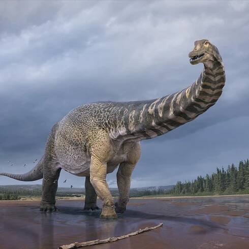 Australien: Paläontologen identifizieren neue Riesensaurierart