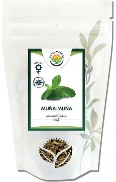 Salvia Paradise Muňa Muňa