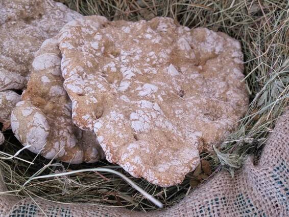 Znáte Schüttelbrot? Chléb z Jižního Tyrolska nás nadchnul na statku Lerchnhof. – Bohyně kuchyně