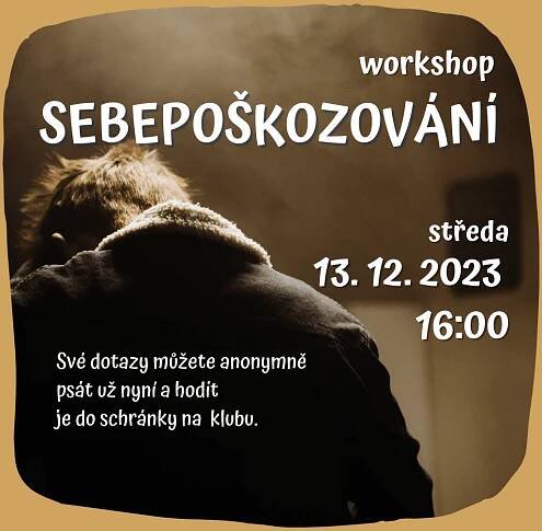SEBEPOŠKOZOVÁNÍ - workshop - LECCOS, z. s.