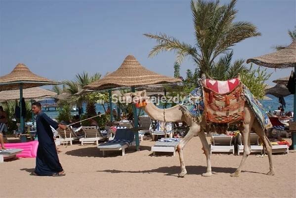 BELLA VISTA RESORT - Egypt - Hurghada - Hurghada | Superzajezdy.cz