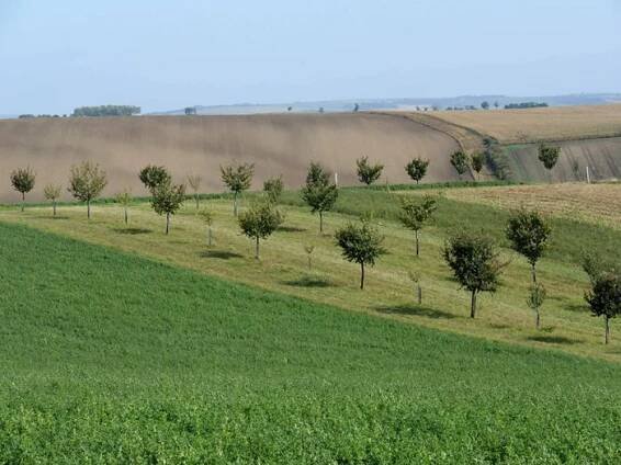 DSCN3796_Milan_Slavinger-1.jpg
