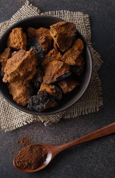 chaga chunks and crushed chaga
