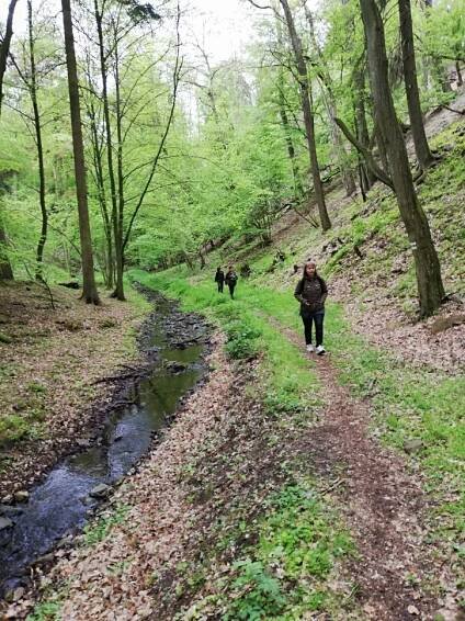 Informační středisko CHKO Křivoklátsko - Křivoklát zve na speciální vycházku