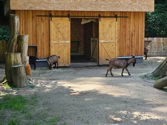 Výlet do ZOO Liberec | Alzheimer Home