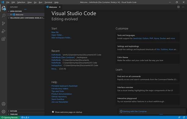 VS Code instance starting with Dev Container
