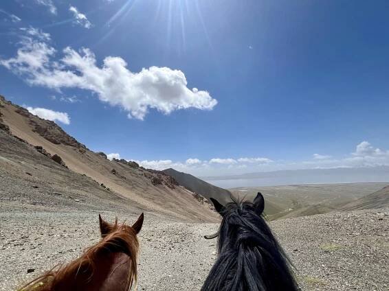 Short ride Kyrgyzstan 2024 | Horsemenistán