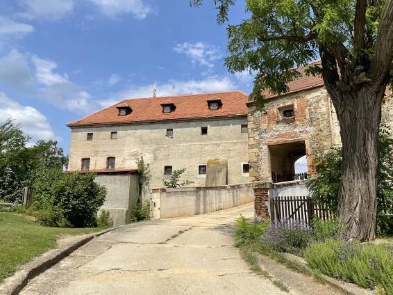 Hrad a zámek Dolní Kounice - Dnes výletujeme