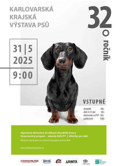 Karlovarská krajská výstava psů 2025 - Ráj mazlíčků