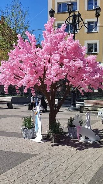 UKS Reflex Rybnik - Uczniowski Klub Sportowy - sekcja biegu na orientację