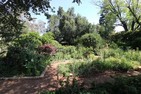 Redlands Garden Tour | Allard