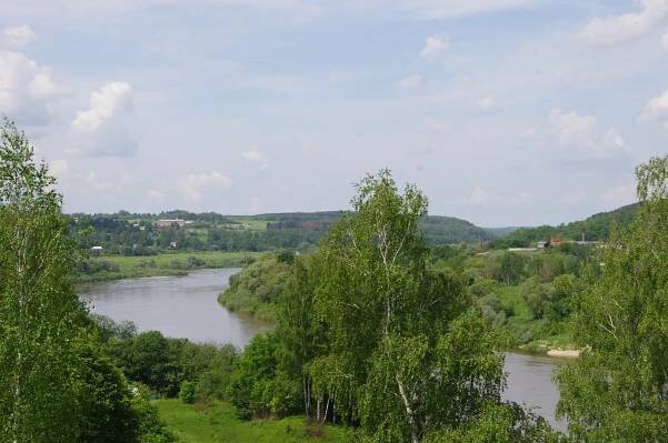 Ferzikovsky District