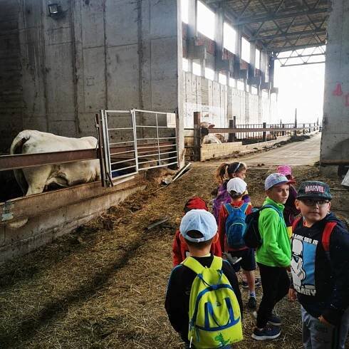Kozí farma Pěnčín - předškoláci 6