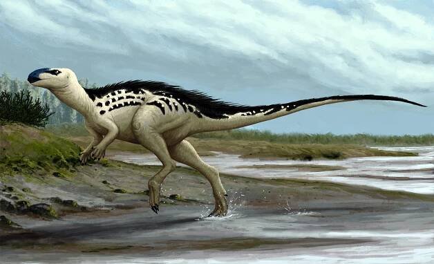 První český dinosaurus se změnil: byl primitivnější a nebyl zakrslý