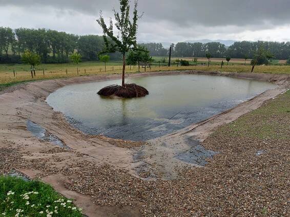 Oživenie „Jazera na kopci“ – Bioklimatický Park Drienová