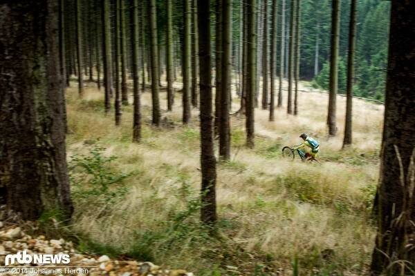 Manual mitten im Wald auf der Libverdska strana