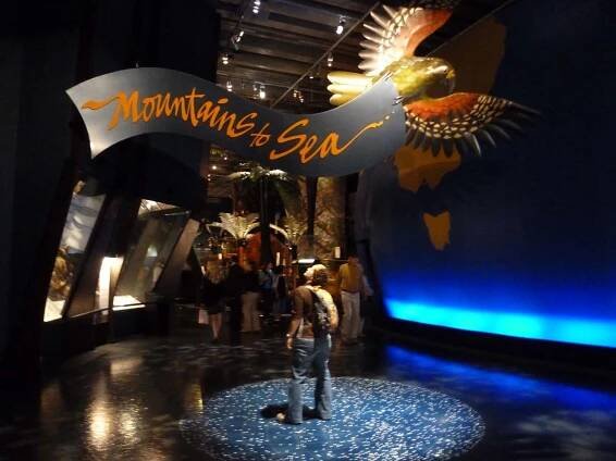 Te Papa Museum