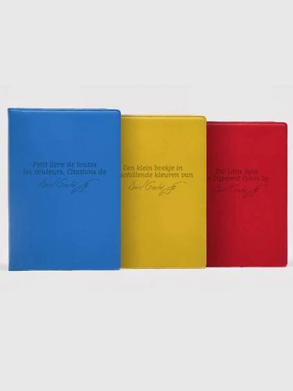 The Little Book of David