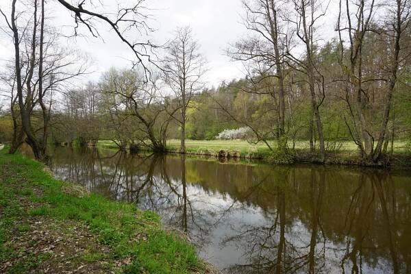 Moravská Dyje: Kouzelné moravské meandry v Jihočeském kraji | Vodárenství.cz