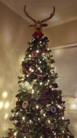 vánoční stromek pro paroháče