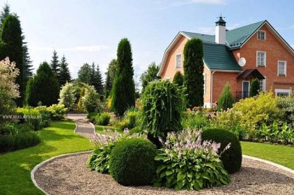 Dekorativní jehličnatá zahrada kolem domu: 50 nejlepších příkladů 