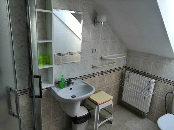 a bathroom with a sink and a mirror at Penzion u lázní in Velké Losiny