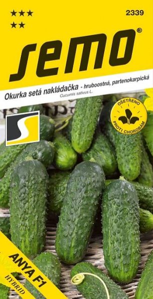 Okurka nakládačka - Anya F1 partenokarpická hruboostná