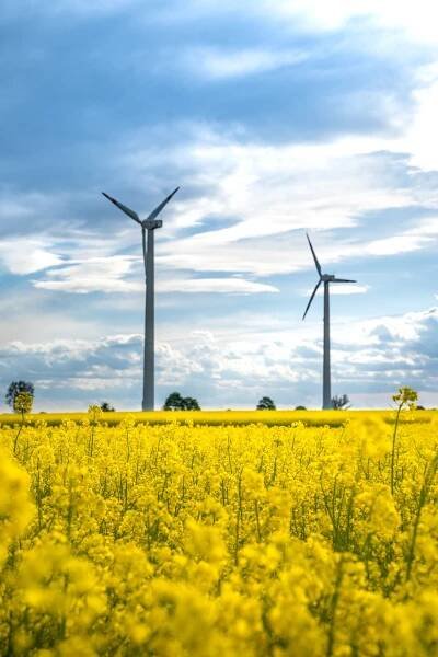 DOTACE NA OBNOVITELNÉ ZDROJE ENERGIE-VĚTRNÉ ELEKTRÁRNY | Ocenění českých exporérů