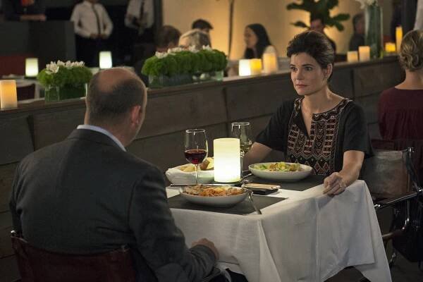 Rodinka na kousky - Dinner Professor Steps Lesbian - Z filmu - Betsy Brandt