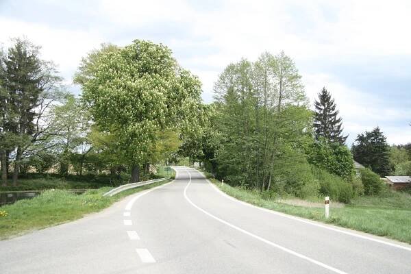 Soubor:Road II 129 near Březina, Hořepník, Pelhřimov District.jpg – Wikipedie