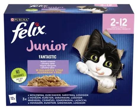 Fantastic Junior lahodný výběr 12x 85 g