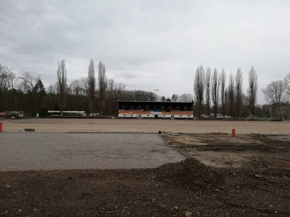Vyzýváme vedení města, aby zastavilo kácení na hřišti FK Bohemia Poděbrady | Strana zelených Poděbrady