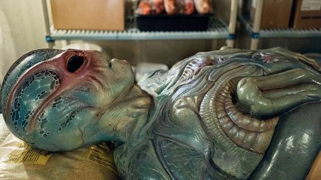 Resident Alien: 1×8 – Filmy a Seriály online zdarma.