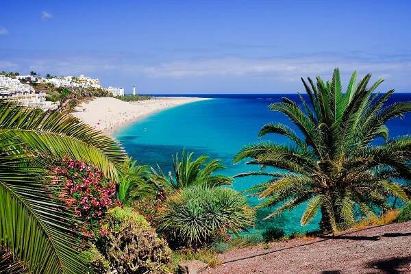 Playa de Morro Jable beach in Fuerteventura, Spain, with green palm trees and view of the town against the Atlantic coast.