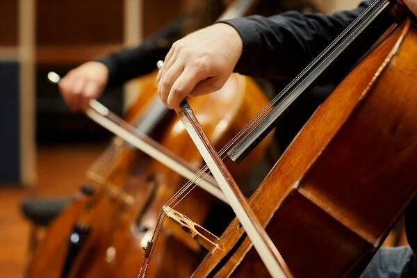 Cellists bowing
