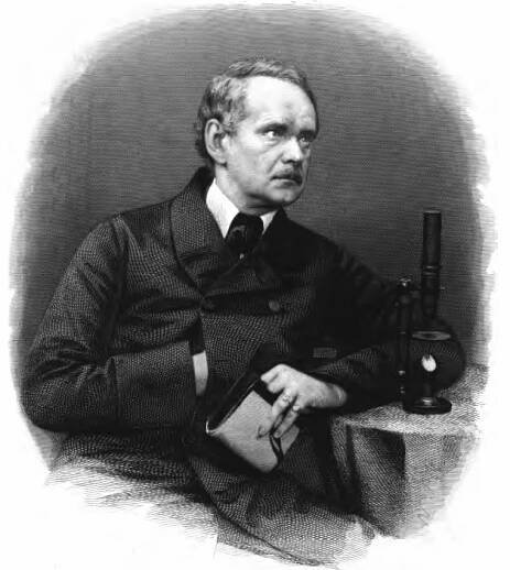 Matthias Jakob Schleiden – Wikipédia