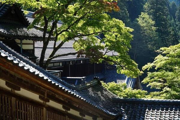 Eihei-ji Temple, Fukui Prefecture. © touristinjapan.com