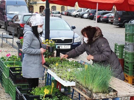 FOTO: Voňavý chléb, klobáska, na zahradu sadba. Trhy se vrátily do Žatce