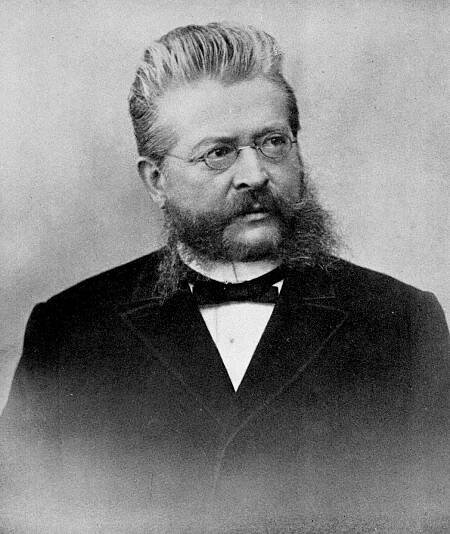 Georg Merkel (Politiker)