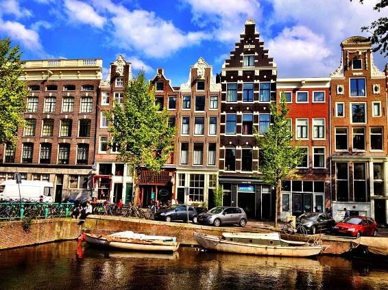 Tulip of Amsterdam | Your home away from home