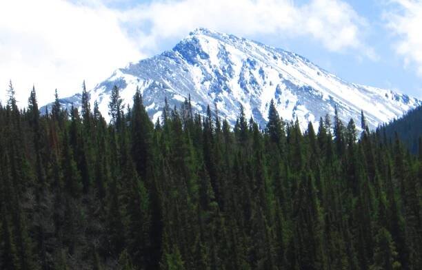 Torreys Peak
