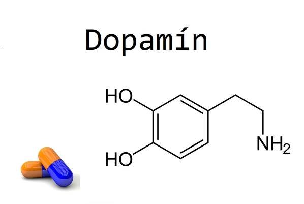 Dopamin - léky nebo hormon? - Cena i účinky v tabletách